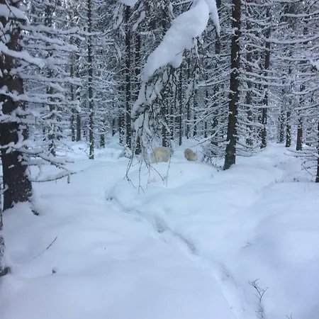 Huvilat Laakso Juokslahti